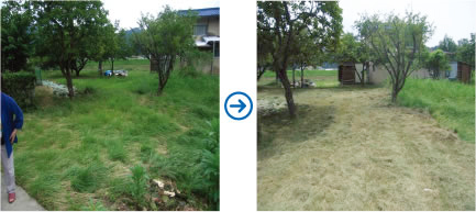 �����H���C���[�W