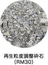 �Đ����x�����Ӑ�(RM30)