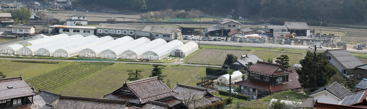 �C���[�W�摜